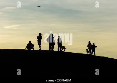Eine Reisegruppe Silhouette mit Hunden und einer fliegenden Drohne in einem Nationalpark, Thailand. Stockfoto