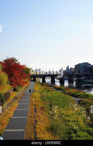 Der Herbst von Kyoto beginnt am Kamogawa-Fluss Stockfoto