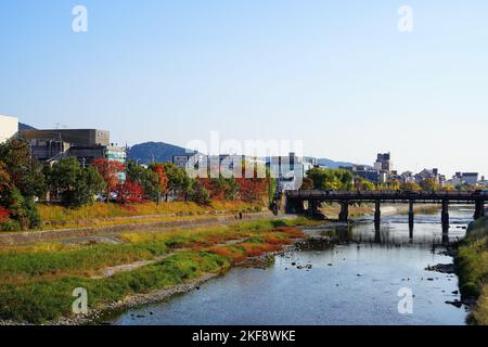 Der Herbst von Kyoto beginnt am Kamogawa-Fluss Stockfoto