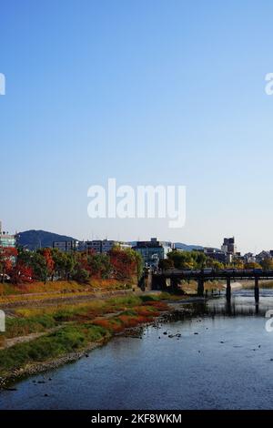 Der Herbst von Kyoto beginnt am Kamogawa-Fluss Stockfoto