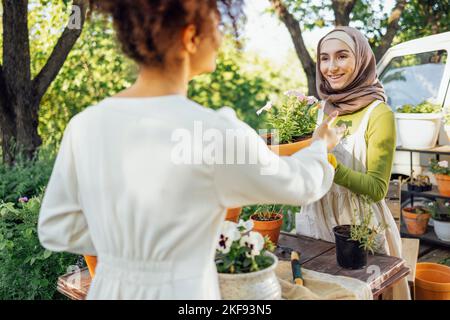 Muslimische junge attraktive Gärtner bei der Arbeit, kümmern sich um Grünpflanzen, arbeiten im Retro-Gartengeschäft mit afro amerikanischen weiblichen Kunden Stockfoto