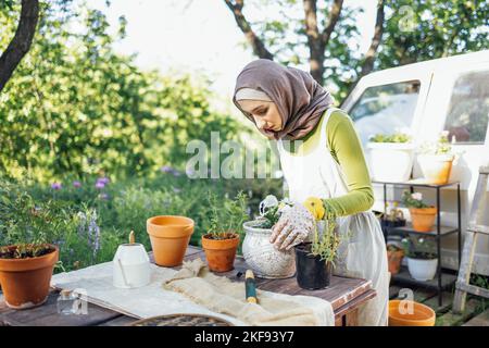 Muslimische junge attraktive Gärtner bei der Arbeit, kümmern sich um Grünpflanzen, arbeiten im Retro-Gartenladen Stockfoto