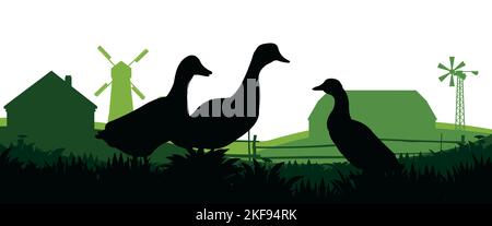 Enten grasen auf der Weide. Bildsilhouette. Haustiere auf dem Bauernhof. Hausgeflügel. Ländliche Landschaft mit Bauernhaus. Isoliert auf weißem Hintergrund. Vektor. Stock Vektor