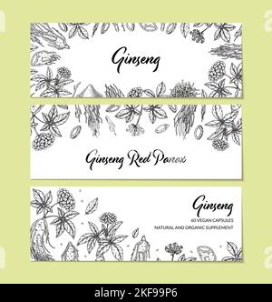 Set von Ginseng horizontal Design. Handgezeichnete botanische Vektorgrafik im Skizzenstil. Kann für Verpackung, Etikett, Abzeichen verwendet werden. Stock Vektor