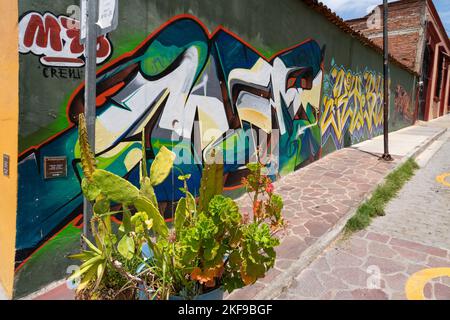 Ein stilisiertes Wandgemälde, das auf eine Wand im Xochimilco-Distrikt von Oaxaca, Mexiko, gemalt wurde. Stockfoto