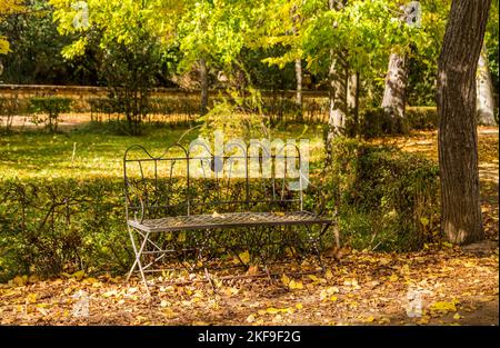 Einfarbige Bank ohne Menschen in einem Park mit unscharf Hintergrund, Herbst und warmen Farben. Herbstkonzept und Einsamkeit, Leere. Stockfoto