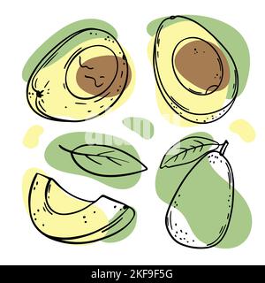 AVOCADO FRUIT Delicious tropische Früchte ganz und Scheiben mit Blättern für die Gestaltung von Bio-Naturprodukten Shop für Paleo Ernährung in Sketch Vector Illust Stock Vektor