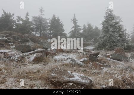Schierke, Deutschland. 17.. November 2022. Teilweise schneebedeckt, zeigt sich die Natur am Brocken. Die ersten Schneeflocken fielen am Morgen auf den Brocken. Temperaturen um den Gefrierpunkt und Niederschläge sollten auch für Schneeschauer am Wochenende sorgen. Quelle: Matthias Bein/dpa/Alamy Live News Stockfoto