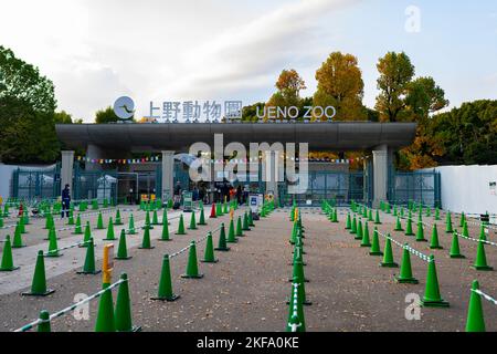 Tokio, Japan. 4.. November 2022. Der Eingang zum Ueno Zoo (æ © è³œä¸Šé‡Žå‹•ç‰ © åœ') am Abend im Ueno Park (ä¸Šé‡Žå…¬åœ') in Tokio. Der Ueno-Park ist ein beliebtes Ausflugsziel für Einheimische und Touristen und einer der größten Parks in der Metropole Tokio. Der Ueno Park Zoo, der älteste Zoo Japans, beherbergt zwei riesige Pandas aus dem chinesischen Wolong-Naturschutzgebiet mit den Namen LÄ«lä« (åŠ›åŠ› ãƒªãƒ¼ãƒªãƒ¼) und Shinshin (çœŸçœŸ Ã‚·ãƒ³ã‚·ãƒ³). Panda-Diplomatie. (Bild: © Taidgh Barron/ZUMA Press Wire) Stockfoto