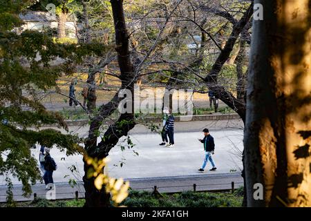 Tokio, Japan. 4.. November 2022. Tokyoiten wandern am Herbstabend im Ueno Park (ä¸Šé‡Žå…¬åœ') in Tokio. Der Ueno-Park ist ein beliebtes Ziel für Einheimische und Touristen und einer der größten Parks in der Metropole Tokio, der in der Meiji-Ära erbaut wurde. Der Ueno Park Zoo, der älteste Zoo Japans, beherbergt zwei riesige Pandas aus dem chinesischen Wolong-Naturschutzgebiet mit den Namen LÄ«lä« (åŠ›åŠ› ãƒªãƒ¼ãƒªãƒ¼) und Shinshin (çœŸçœŸ Ã‚·ãƒ³ã‚·ãƒ³). Panda-Diplomatie. (Bild: © Taidgh Barron/ZUMA Press Wire) Stockfoto