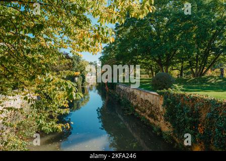 Eine Holzbrücke im Park mit Herbstfarben von Bietigheim-Bissingen, Deutschland. Europa. Herbstlandschaft in der Natur. Herbstfarben im Wald Stockfoto