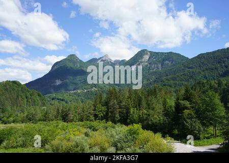 Berglandschaft bei Ampezzo, Friaul-Julisch Venetien, Italien, entlang der Straße zum Pura-Pass im Sommer Stockfoto