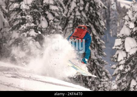 Schnelle Skifahrer springt auf Off-Piste Skipiste im Wald. Freeride-Ski-Konzept Stockfoto