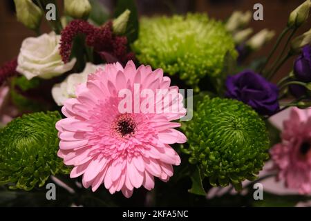 Eine rosafarbene Gerbera, die mit einigen ihrer floralen Begleiter im Stolz sitzt, wirkt in einem wunderschönen Blumenarrangement sehr bequem Stockfoto