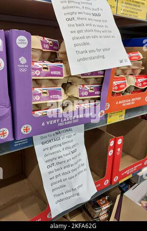 Aldi, Edgbaston, Birmingham, 17. November 2022. - Ein Schild in Aldi, Edgbaston, warnt Kunden, wenn keine Eier in den Regalen sind, dann gibt es keine weiteren Vorräte auf der Rückseite wegen begrenzter Lieferungen, nachdem die Geflügel- und Eierindustrie stark von der Vogelgrippe betroffen war. Foto: STOP Press Media/Alamy Live News Stockfoto