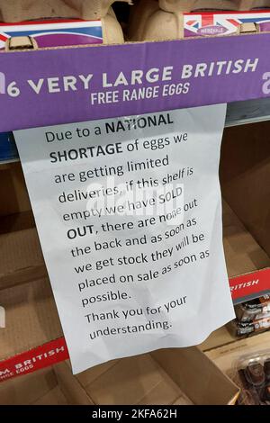 Aldi, Edgbaston, Birmingham, 17. November 2022. - Ein Schild in Aldi, Edgbaston, warnt Kunden, wenn keine Eier in den Regalen sind, dann gibt es keine weiteren Vorräte auf der Rückseite wegen begrenzter Lieferungen, nachdem die Geflügel- und Eierindustrie stark von der Vogelgrippe betroffen war. Foto: STOP Press Media/Alamy Live News Stockfoto