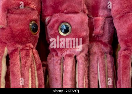 Nahaufnahme von bunten Stofftieren, zum Verkauf im Natural History Museum, London UK. Stockfoto