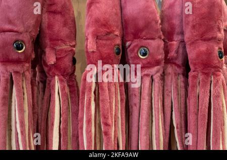 Nahaufnahme von bunten Stofftieren, zum Verkauf im Natural History Museum, London UK. Stockfoto