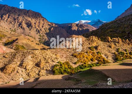 Das Ait Bouilli-Tal im Dorf Ikiss, eine kleine Berbersiedlung in der Region M'Goun der marokkanischen Atlasmountaqins Stockfoto