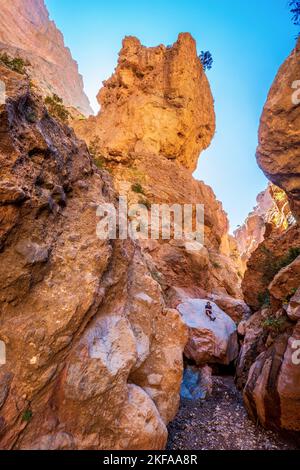 Trekking in einer Flussschlucht in der M'Goun-Region des marokkanischen Atlasgebirges Stockfoto