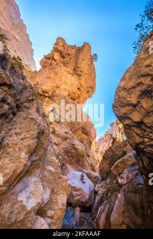 Trekking in einer Flussschlucht in der M'Goun-Region des marokkanischen Atlasgebirges Stockfoto