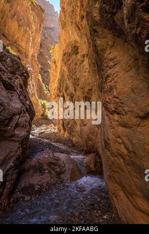 Trekking in einer Flussschlucht in der M'Goun-Region des marokkanischen Atlasgebirges Stockfoto