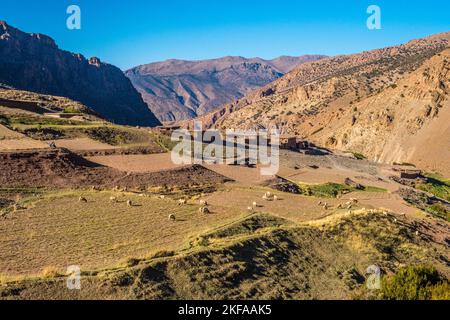 AIT Bouilli Tal und Ikiss Dorf, eine kleine Berbersiedlung in der M'Goun Region des marokkanischen Atlas mountaqins Stockfoto