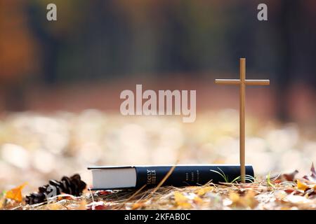 Das Kreuz Jesu Christi und eine bibel auf einem Haufen Ahornblätter in einem wunderschönen Herbstwald mit fallenden Blättern Stockfoto