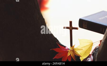 Das heilige Kreuz Jesu Christi und bibelbuch zwischen Herbstblättern, roten Ahornblättern und Ästen Stockfoto