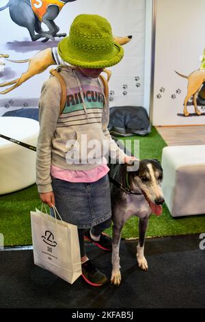 Ehemaliger Greyhound-Rennhund, der von einem Kind gepatzt wird - The Royal Melbourne Show, Melbourne Victoria VIC, Australien Stockfoto