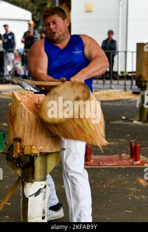 Wood Chopping Competition Axt Men Wood Chips Nahaufnahme bei der Royal Melbourne Show, Melbourne Victoria VIC, Australien Stockfoto