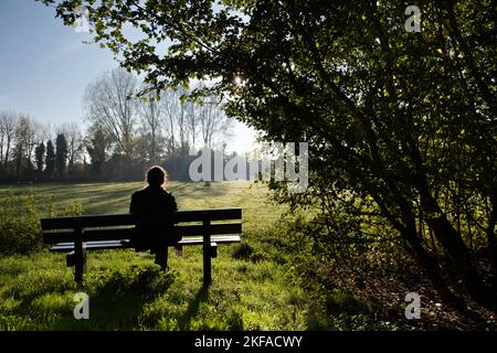 Frau (Silhouette) sitzt auf einer Bank in einem Park und genießt die Herbstsonne. Hintergrundbeleuchtung Stockfoto