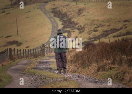 Senioren Wandern und Sport auf dem Land. Wandern mit Wanderstock auf dem Moorweg. Stockfoto