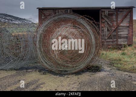 Alte Rolle von Metallzaundraht, rostend auf dem Boden mit altem verrosteten Eisenbahnwagen im Hintergrund. Alte rote rustikale Holzpaneele. Stockfoto