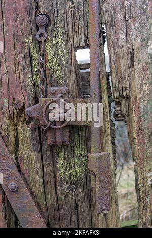 Altes rustikales Metallscharnier und Schloss auf altem Holzschuppen. Schimmel und Rost im Hintergrund. Stockfoto