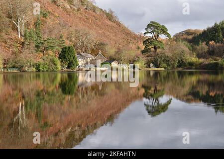 Herbstreflektionen auf Llyn Mair, (Mary's Lake) North Wales, Snowdonia National Park an Einem sonnigen Herbsttag Stockfoto