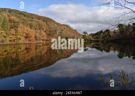 Herbstreflektionen auf Llyn Mair, (Mary's Lake) North Wales, Snowdonia National Park an Einem sonnigen Herbsttag Stockfoto