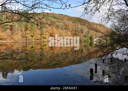 Herbstreflektionen auf Llyn Mair, (Mary's Lake) North Wales, Snowdonia National Park an Einem sonnigen Herbsttag Stockfoto