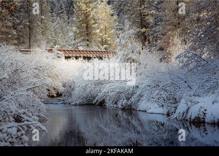 Alte Eisenbahnbrücke auf dem Bizz Johnson Trail in der Nähe von Susanville California USA. Fotografiert mit Blick auf den Susan River an einem verschneiten Morgen. Stockfoto