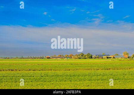 Sonnenaufgang über Landschaft im Polder Rietveld n Alphen aan den Rijn mit Panoramablick auf die Polderlandschaft mit weitem Blick über Torfwiesengebiet Stockfoto