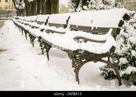Der Stadtpark ist mit Schnee bedeckt. Holzbänke im Stadtpark mit einer Winterdecke bedeckt. Stadtpark mit Winterdecke im Monat Janu bedeckt Stockfoto