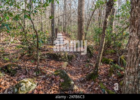 Auf einem Weg durch den Wald mit einer künstlichen Brücke über einen Bach umgeben von gefallenen Blättern, Felsen und Bäumen an einem sonnigen Tag im Spätherbst Stockfoto