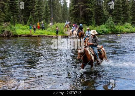 Blick auf einen Paketzug, der den Bechler River im südwestlichen Teil des Yellowstone National Park überquert; Wyoming, USA. Stockfoto