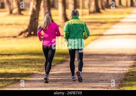 Rückansicht von zwei Läufern, einer jungen Frau und einem reifen Mann, die in einem Herbstpark laufen. Stockfoto