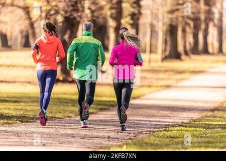 Rückansicht eines Trios von Läufern, zwei jungen Frauen und einem reifen Mann, die in einem Herbstpark laufen. Stockfoto