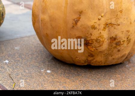 Leuchtende Halloween-Kürbis isoliert auf weißem Hintergrund Stockfoto