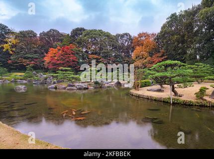 fukuoka, kyushu - dezember 07 2021: Herbstlandschaft des japanischen Gartens des Ohori Parks mit Koi-Karpfen, die im Teich UE-no-Ike schwimmen, umgeben von Rot Stockfoto