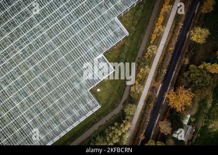 VENLO - Ein Drohnenfoto vom Gewächshaus-Gartenbau in Venlo. Viele Gärtner mit Gewächshäusern laufen wegen der hohen Energiepreise Gefahr, in finanzielle Schwierigkeiten zu geraten. ANP / Hollandse Hoogte / Rob Engelaar niederlande Out - belgien Out Stockfoto