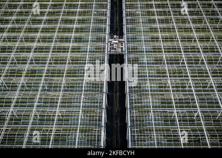 VENLO - Ein Drohnenfoto vom Gewächshaus-Gartenbau in Venlo. Viele Gärtner mit Gewächshäusern laufen wegen der hohen Energiepreise Gefahr, in finanzielle Schwierigkeiten zu geraten. ANP / Hollandse Hoogte / Rob Engelaar niederlande Out - belgien Out Stockfoto