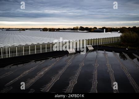 VENLO - Ein Drohnenfoto vom Gewächshaus-Gartenbau in Venlo. Viele Gärtner mit Gewächshäusern laufen wegen der hohen Energiepreise Gefahr, in finanzielle Schwierigkeiten zu geraten. ANP / Hollandse Hoogte / Rob Engelaar niederlande Out - belgien Out Stockfoto